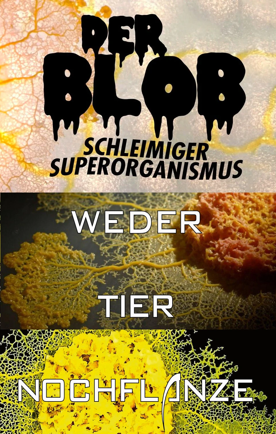 (Bild für) Der Blob - zum Schließen ins Bild klicken